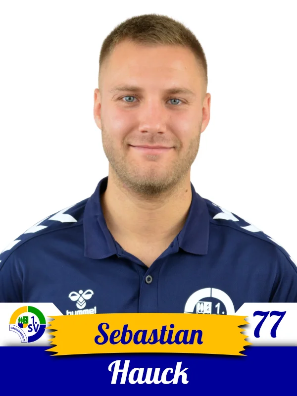 Sebastian Hauck